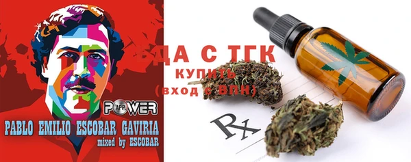 дмт Аркадак