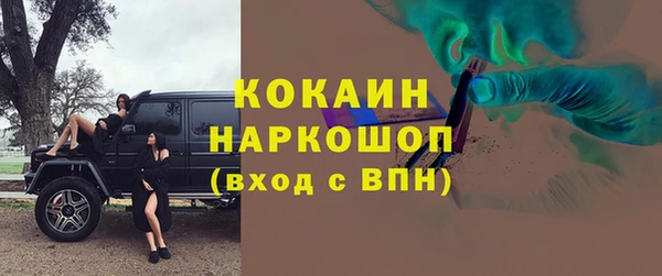 стаф Арсеньев