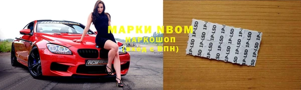 стаф Арсеньев