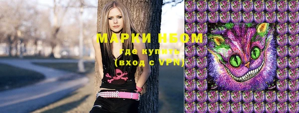 стаф Арсеньев
