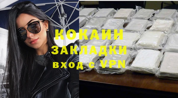 стаф Арсеньев