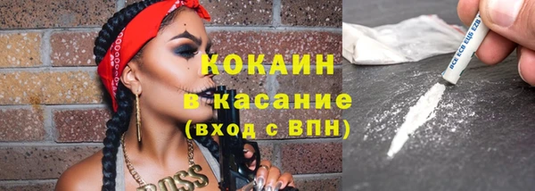 стаф Арсеньев