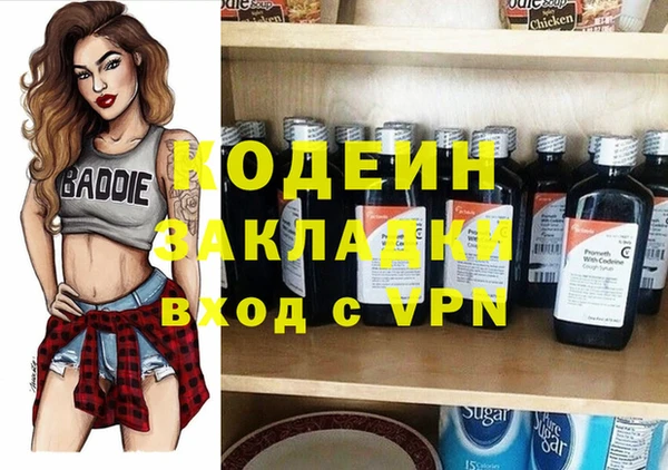 стаф Арсеньев