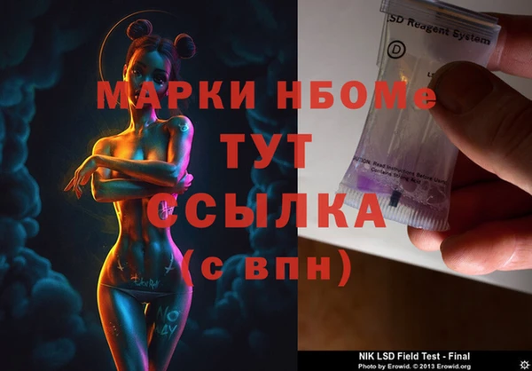 дмт Аркадак