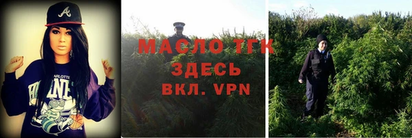 дмт Аркадак