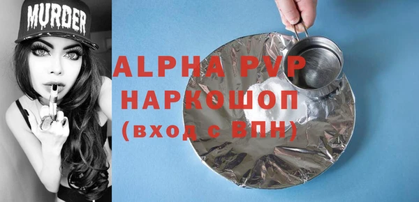 стаф Арсеньев