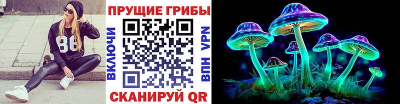 Псилоцибиновые грибы Psilocybe  сколько стоит  Сальск 